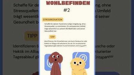 Wohlbefinden #2: Stressreduktion für deinen Hund! 🐾🧘‍♂️ #hundegesundheit #hundetipps #hundewissen