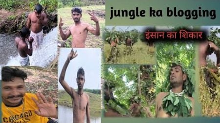 jangal ka blogging , Jangal ka blogging