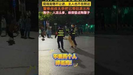 狗子想去现场看烟花秀，现场宠物不让进，主人也不在附近，警察叔叔无奈把它带回派出所！ #狗狗已老实求放过 #南昌烟花秀 #狗子成精了 #走失金毛被警察叔叔押走 #狗狗走丢了 #搞笑