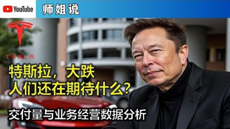 特斯拉股价大跌，为什么？最新汽车交付量和业务经营数据与策略分析 特斯拉 | 马斯克 | Model Y | FSD | AI | 单车利润 | 比亚迪 | 电动车 | 20241003师姐说