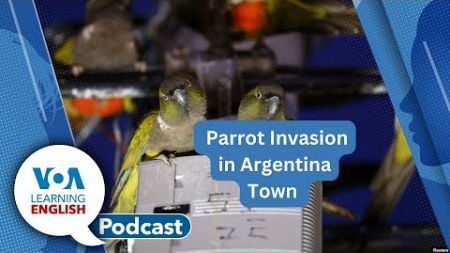 Sheltering Unhoused, Parrot Invasion, Quantifiers