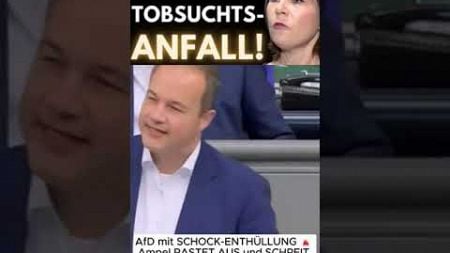 Der Mann hat recht, mit jedem Wort Ob einem das jetzt gefällt, oder nicht