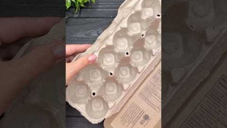 EASY Idea from Egg Carton Box EGG Tray Craft DIY Tutorial