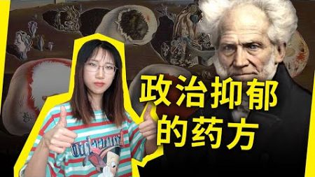 这本书竟然治好了我的“政治抑郁”？！叔本华——《一个悲观主义者的积极思考》