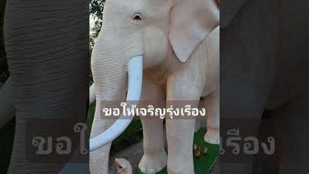 หน้าที่การาน#ธรรมะ #การใช้ชีวิต #หน้าที่การงาน #การเงิน #สุขภาพ #ความสุข #ความเชื่อ #โชคลาภ #shorts