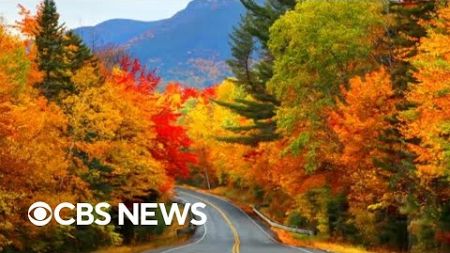 How climate change is impacting fall foliage