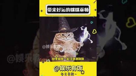 给你带来好运的咪咪巫师 #猫咪 #娱乐评论大赏 #可爱到爆炸?? #好运连连#shorts