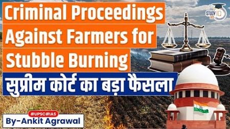 SC slams Punjab, Haryana for not penalising farmers burning stubble | What&#39;s the solution?