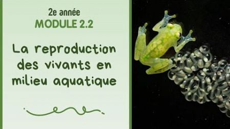 2e année - Module 2.2 - La reproduction des vivants en milieu aquatique