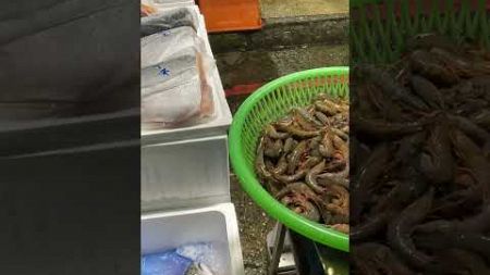 Amazing seafood auction, crazy price, 海鮮魚貨拍賣 坎仔頂 基隆魚市場 seafood fishmarket auction