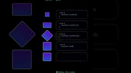 CSS Transform #html #css #javascript #coding #webdesign #webdevelopment #webdeveloper