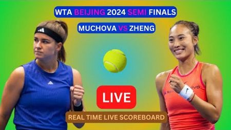 Karolina Muchova Vs Qinwen Zheng LIVE Score UPDATE Today Women&#39;s Tennis 2024 WTA Beijing Semi Finals