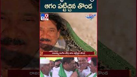 iSmart News : రాజయ్య అంగిల జొర్రి ఆగం పట్టిచ్చిన తొండ.. | T. Rajaiah - TV9