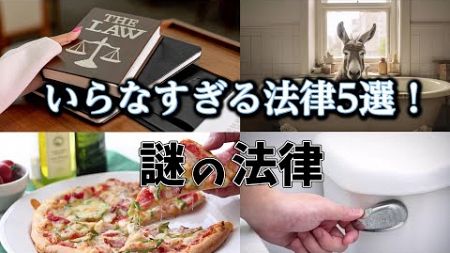 【ゆっくり解説】こんなのいらないよ！？いらなすぎる法律5選！