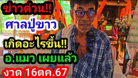 ข่าวด่วน!!ฝันแล้ว#อาจารย์แมว!เผยแล้วเกิดอะไรขึ้น?#ศาลปู่ขาว งวด16 ตค.67 #อย่าลืม!! #เลขดัง