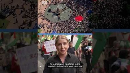 Thousands march through Sydney for pro-Palestine protest | ABC News