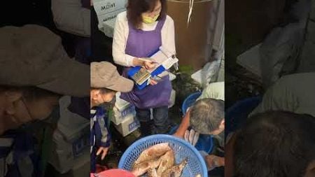 Amazing seafood auction, crazy price, 海鮮魚貨拍賣 坎仔頂 基隆魚市場 seafood fishmarket auction