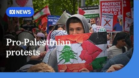 Thousands gather at pro-Palestine demonstrations around the country | ABC News