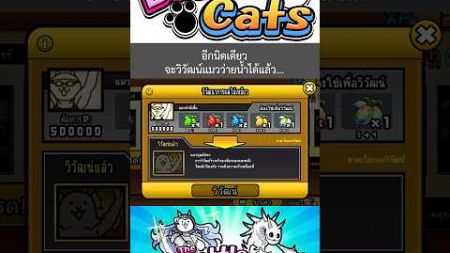 อีกนิดเดียวจะวิวัฒน์แมวว่ายน้ำได้แล้ว #game #เกมส์มือถือ #thebattlecats #แมวว่ายน้ำ #วิวัฒน์