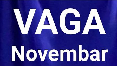 VAGA HOROSKOP NOVEMBAR 2024