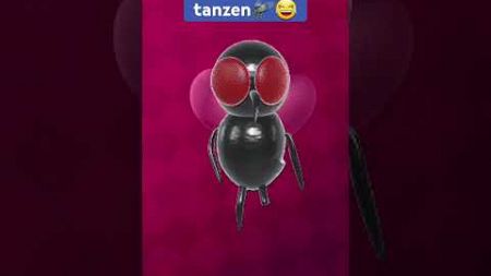 Fliegen Sekte tanzen🪰😂 #funny