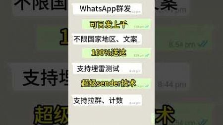 0 WhatsApp营销新策略：高效群发技巧揭秘