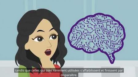 Plasticité cérébrale (psychologie fondamentale : plasticité cérébrale et récupération fonctionnelle)