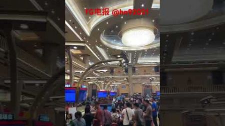 盛世实体娱乐城#盛世官网 ss789 .tv 如何在运气的海洋中捕捉一抹笑意？在我们这里，每一把牌都可能是您通向豪华之路的钥匙。欢迎体验极致娱乐，挑战命运的召唤，让幸运在您的手中绽放。