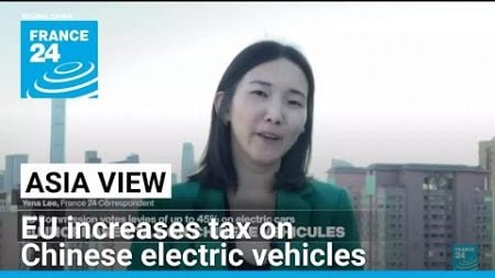 Reactions from Beijing as EU votes in favour of hefty tariffs on China-made EV imports • FRANCE 24