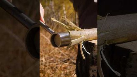 GREAT Bushcraft connection #survival #bushcraft #camping