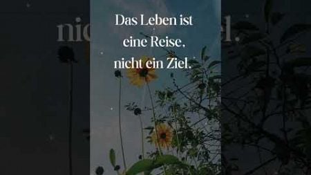 Das Leben ist eine Reise #music #achtsamkeit #dream #sprüche #gedanken