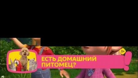 Плашка конкурса &quot;Домашние питомцы&quot; (О!, 09.10.2024)