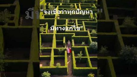 ทุกปัญหามีทางออก มีทางแก้ไขเสมอ #การพัฒนาตนเอง #การฝึกใจ #mindset #พอใจ #กำลังใจ