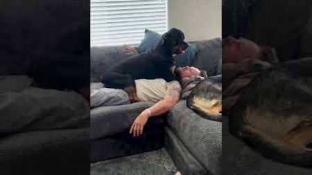 Sleepy Puppy Won&#39;t Let Dad Get Off Of Sofa