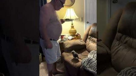 Dad Has HILARIOUS Moment With Kitten Sitting on His Spot