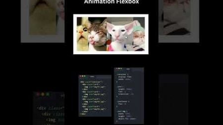 Amazing flex box animation 🔥 Css animation using webdevelopment #coding #reactfrontend #frontend