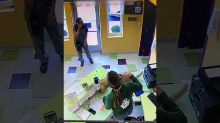 Dog Excitedly Jumps Onto Counter to Greet Receptionist at Daycare