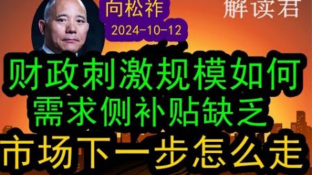 向松祚解析财政新闻发布会：点评这一次的财政刺激的规模，缺乏刺激消费的需求（2024-10-12）综合分析财政政策对于市场的影响，下一步会怎么走？投资者如何判断 #中国经济