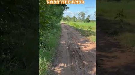 การท่องเที่ยวดูวิถีชีวิตสิ่งแวดล้อมในชนบท