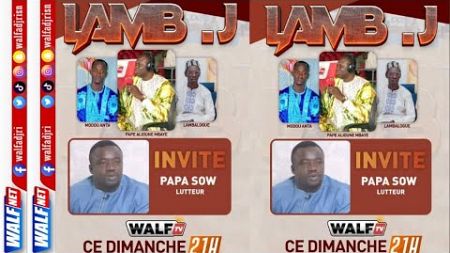 Spécial Modou Lo vs Siteu dans LAMBJ avec Lambalogue, Papa Sow, Pape Alioune, Modou Anta sur WalfNet