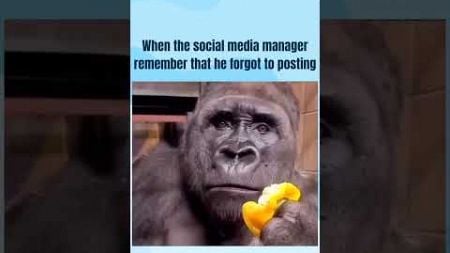 When social media manager remembers that he forgot to posting. #funny #digitalmarketing #comedy