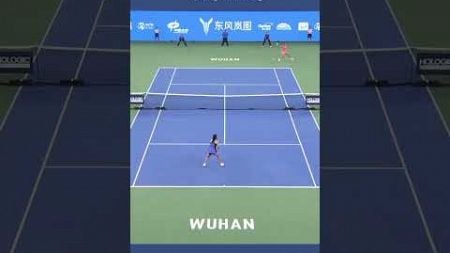 2024 Wuhan Open SF Zheng vs Wang 6-3 6-4 #tennis #wta #highlights