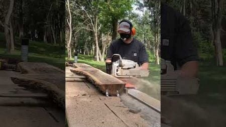 Future Home Decor Black Walnut Woodworking Project Slabs! Chainsaw Milled!