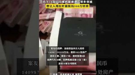 外逃贪官李传良的“商业版图”：名下18家公司横跨能源地产等多领域 曾让人用拉杆箱装钱500万转移