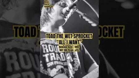 Toad The Wet Sprocket “All I Want” #90s #music #shorts #toadthewetsprocket (Episode 155)