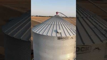 Loading the wet bin