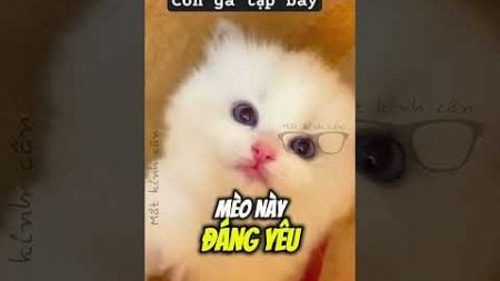 #amazingfacts #xuhuong #funny #tuyenvlog #stitchfan #yeah #stitchsings #animals #stitch #pets #short