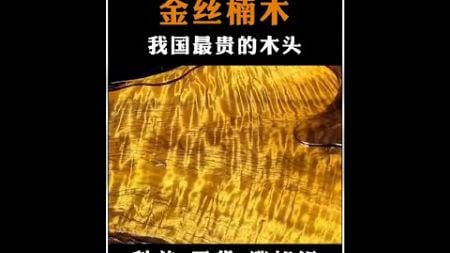 为何金丝楠木这么贵？#金丝楠木 #民间手艺 #匠心制作 #涨见识 #科普一下