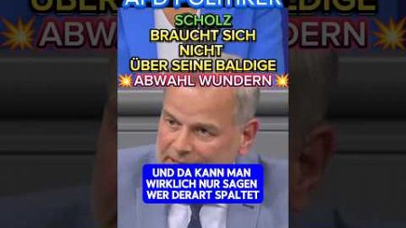 💥WAS Scholz abgezogen hat ist UNFASSBAR💥⚡ #afd #ampel #politik #scholz #spd #cdu #merz #bundestag