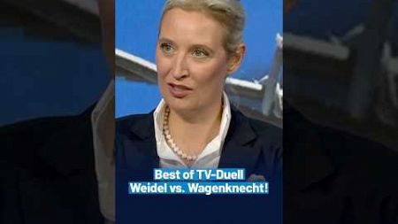 Endlich Sach- statt Geldleistungen! #politik #afd #deutschland #demokratie #bundestag #bsw #weidel